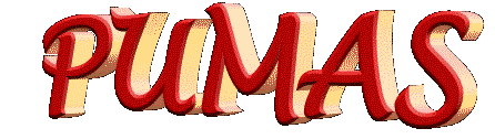 pumas3dspin.gif (90440 bytes)